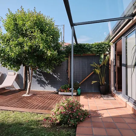 El Bosque De Asis-parking Gratuito
