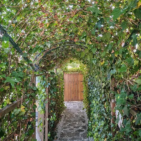 Apartamento El Bosque De Asís-parking Gratuito *