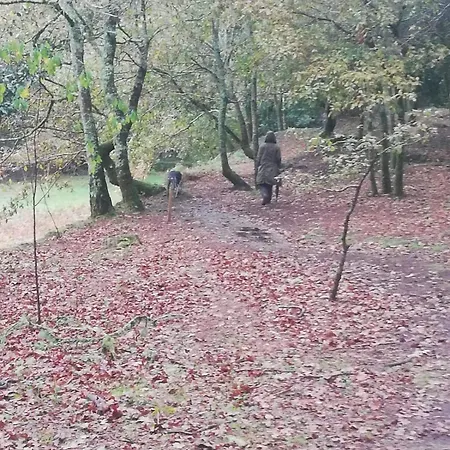 Apartamento El Bosque De Asís-parking Gratuito *